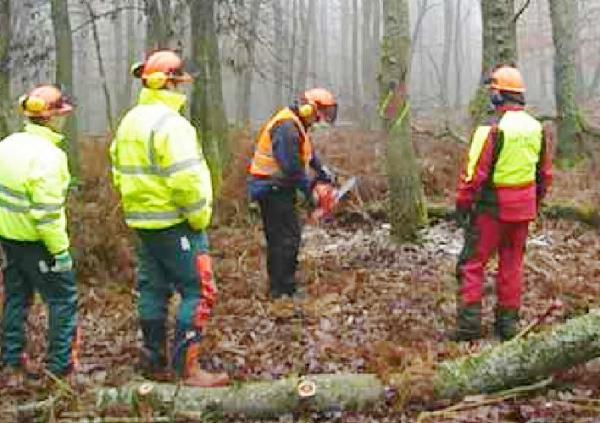Lehrgänge der Mobilen Waldbauernschule Saarland 2023/2024