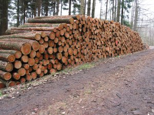 Holzverkauf