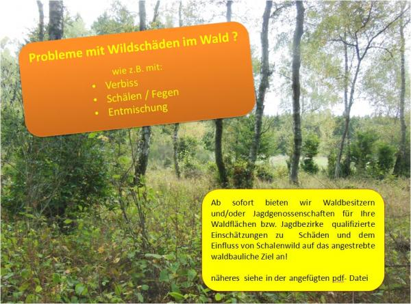 Die FBG Saar verfügt über eigene Wildschadensberater